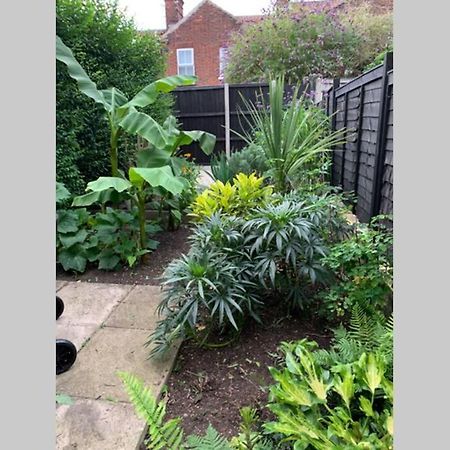 Beautiful Two Bed Victorian Terrace House Villa Norwich Exterior photo